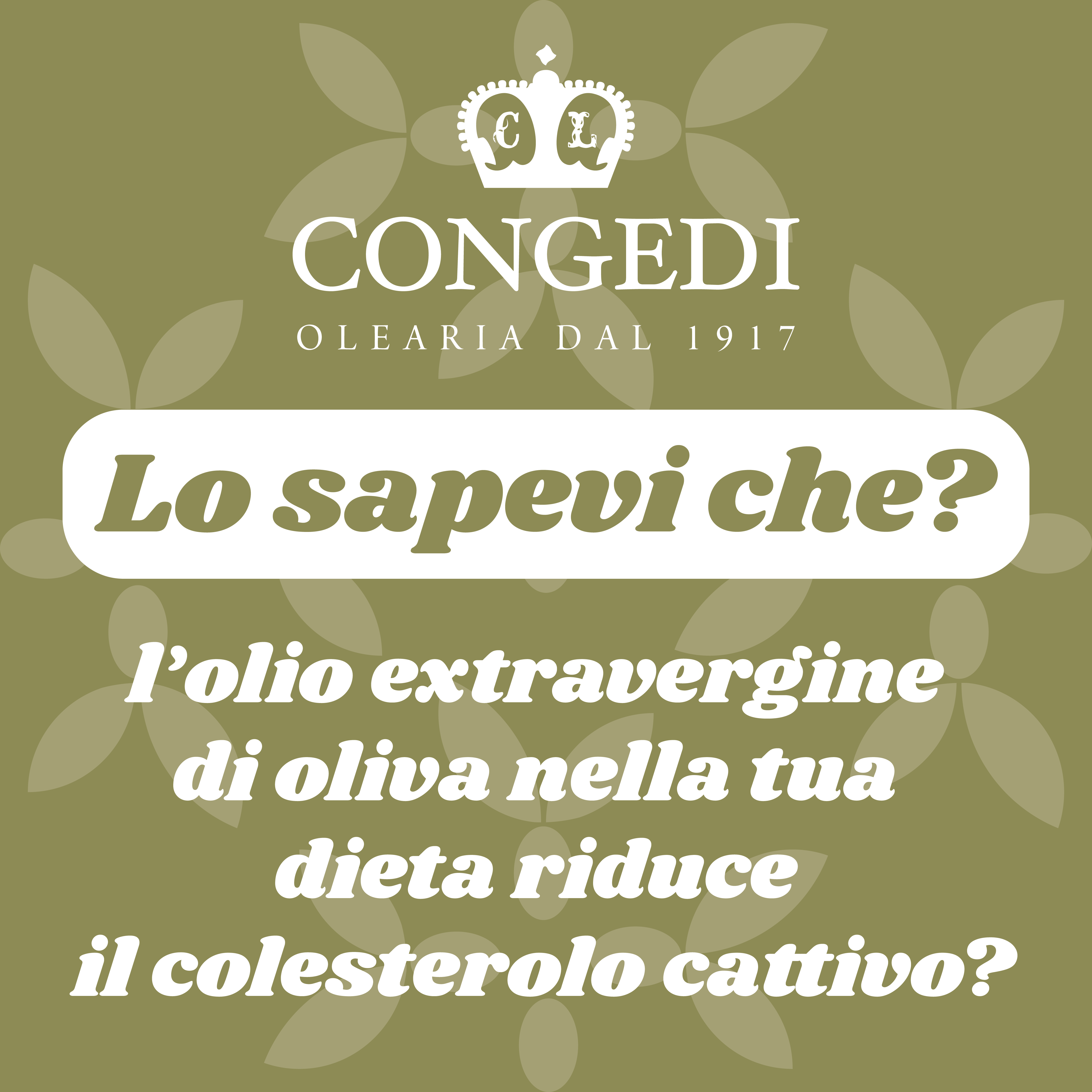 Lo sapevi che l’olio extravergine d’oliva nella tua dieta riduce il colesterolo “cattivo”?